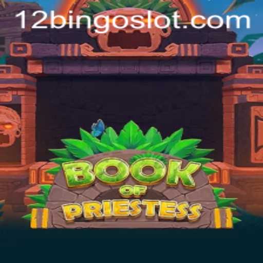 BookOfPriestess: Exploring the Mystical World of 12Bingo