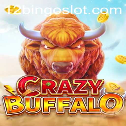 Discovering CRAZYBUFFALO: The Thrilling Game of 12Bingo