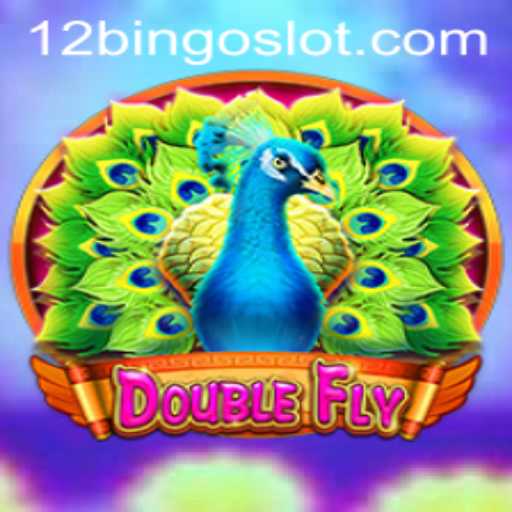 Unveiling the Exciting World of DoubleFly: An In-depth Exploration with 12Bingo